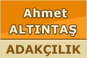 Ahmet Altıntaş Besicilik