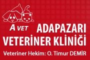 AVet - Adapazarı Veteriner Kliniği