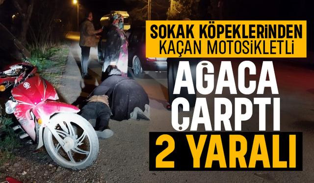 Sokak köpeklerinin kovaladığı motosikletli kaza yaptı. 2 yaralı