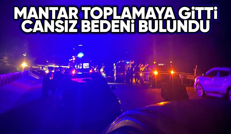 Mantar toplamaya giden yaşlı adam ölü bulundu