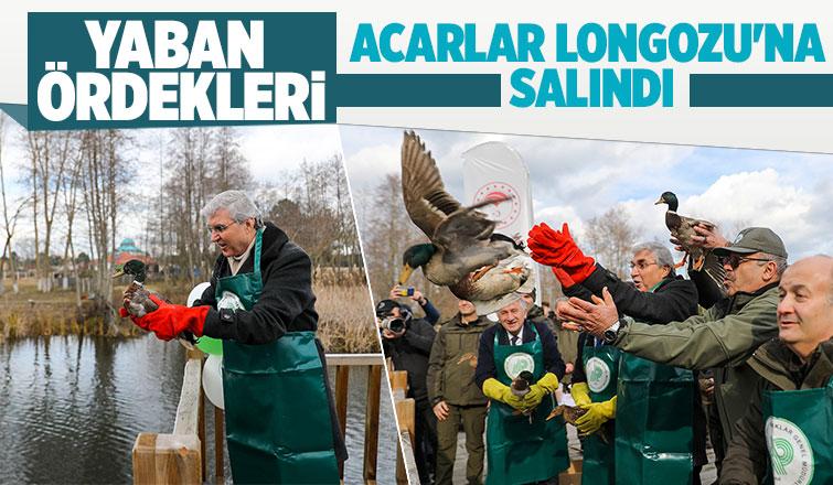 Yüce Acarlar Longozu’ndan dünyaya mesaj verdi