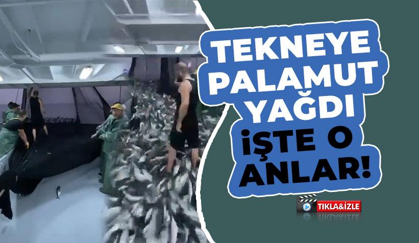 Ağlar Palamutla Böyle Doldu