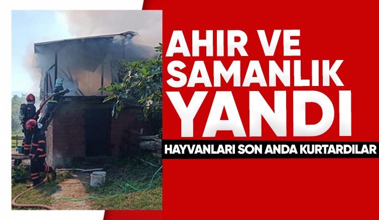 Ahır ve samanlık yandı