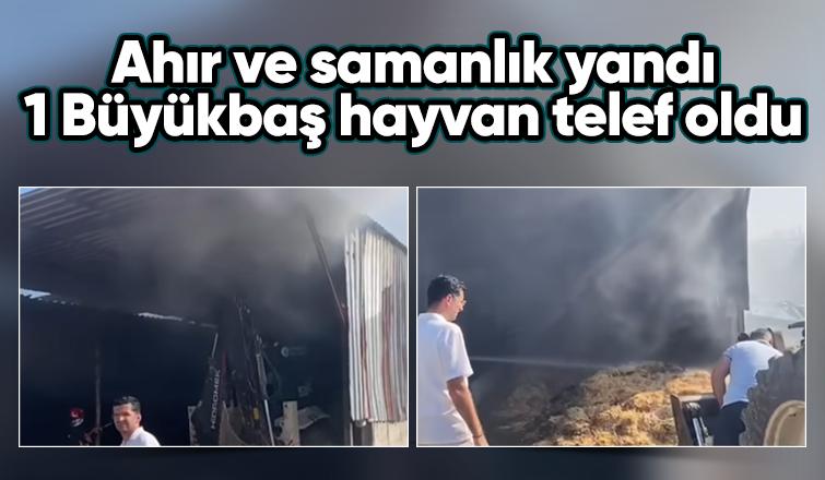 Ahır ve samanlık yandı