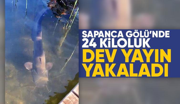 Sapanca Gölü'nde dev yayın yakaladı