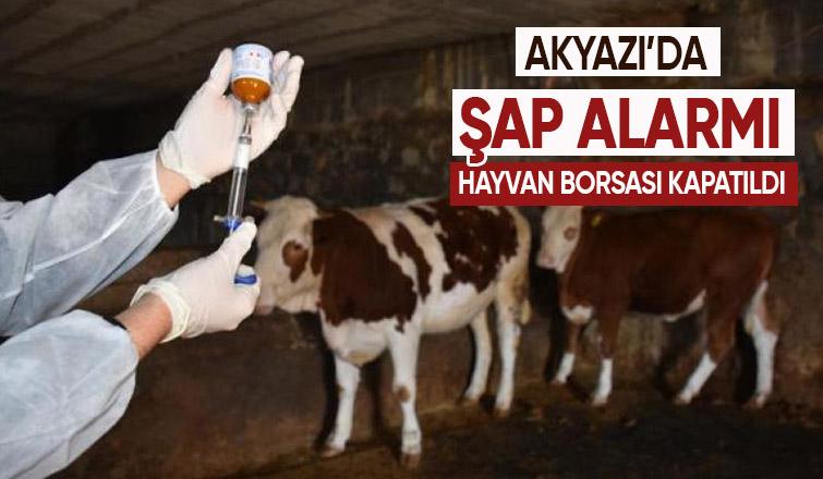 Akyazıda şap alarmı