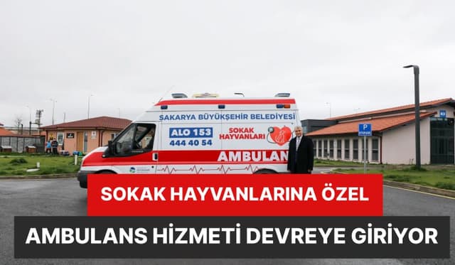 Sokak Hayvanlarına Özel Ambulans