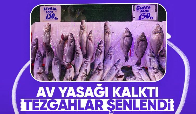 Balık sezonu açıldı: Tezgahlar taze balıkla doldu