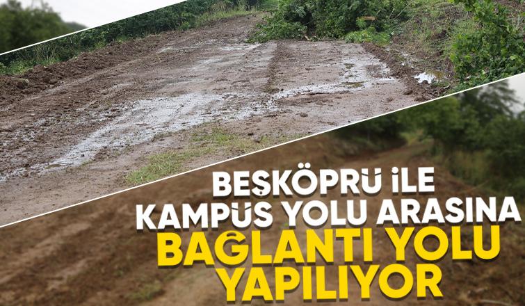 Beşköprü Mahallesi'ne yeni giriş yolu yapılıyor