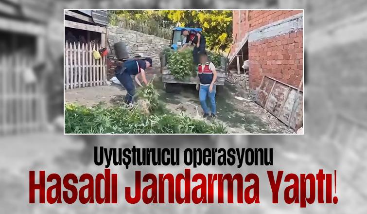 Taraklı'da jandarmadan uyuşturucuya darbe