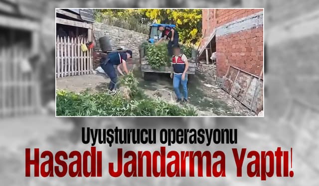 Taraklı'da jandarmadan uyuşturucuya darbe