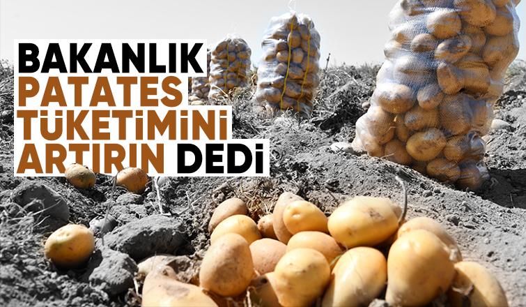 Bakanlık patates için harekete geçti