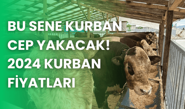 Bu sene kurbanlık cep yakacak! 2024 kurban fiyatları