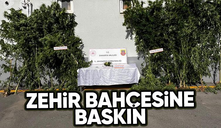 Ev değil zehir bahçesi suçüstü yakalandılar