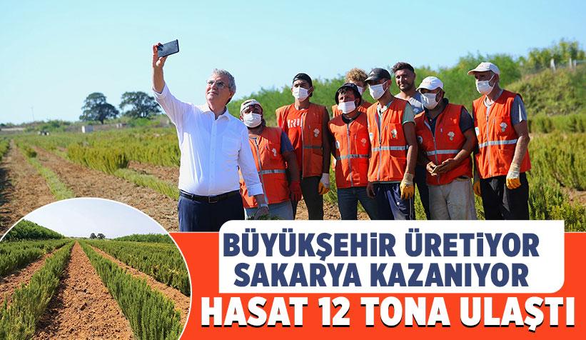 Büyükşehir Üretiyor, Sakarya Kazanıyor Hasat 12 Tona Ulaştı