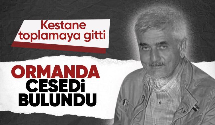 Kestane toplamaya giden kayıp yaşlı  adamın cesedine ulaşıldı