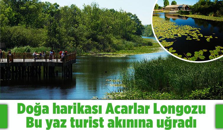 Acarlar Longozu'nu bu yaz 85 bin kişi ziyaret etti