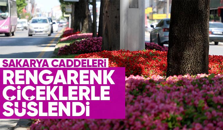 Şehrin en işlek caddeleri çiçek bahçesine dönüşüyor