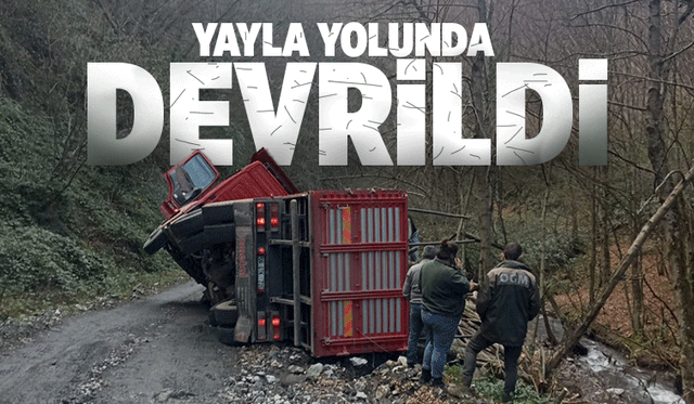 Ağaç yüklü kamyon devrildi