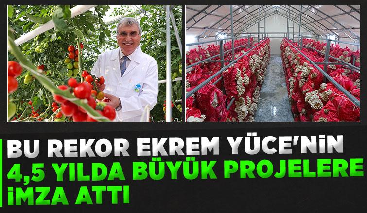 Sakarya'da memlekete hizmetle geçen 4 buçuk yıl: Tarihi rekorlar kırdık