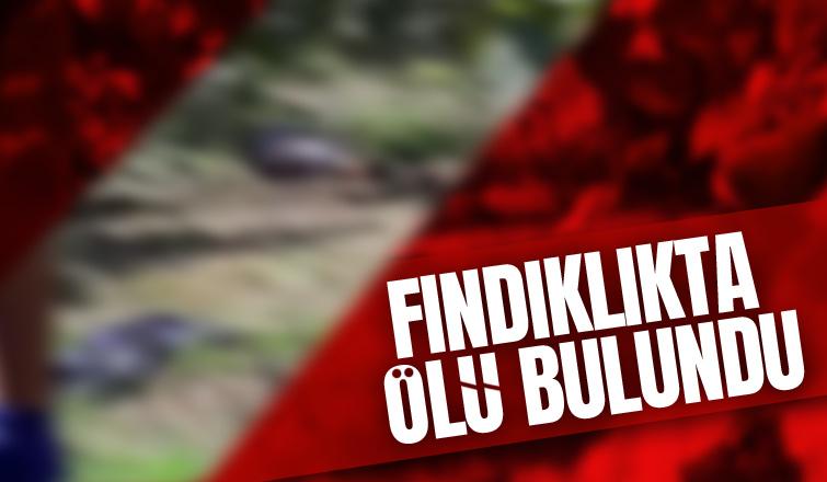 Fındık bahçesinde cansız bedeni bulundu