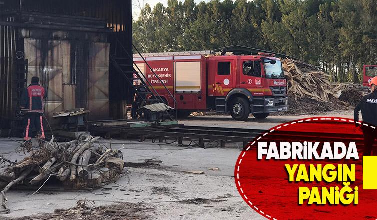 Akyazı'da kontrplak fabrikasında yangın