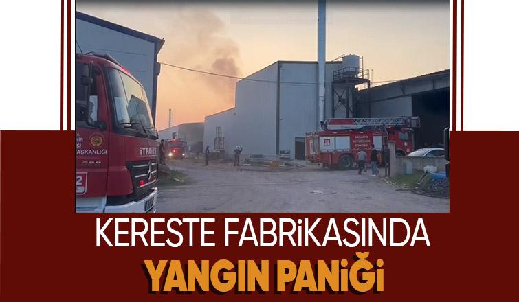 Kereste fabrikasında korkutan yangın