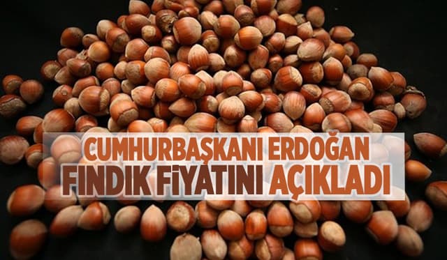 Fındık fiyatı açıklandı