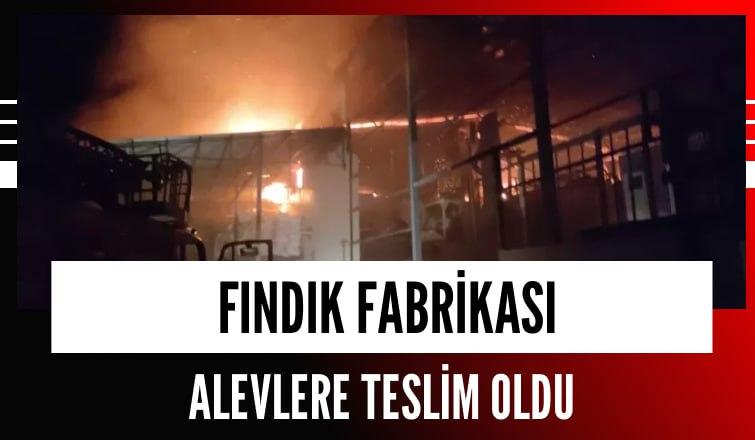 Fındık Fabrikası Alevlere Teslim