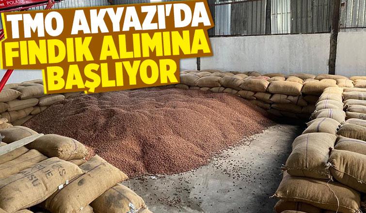 TMO Akyazı'da fındık alımına başlıyor