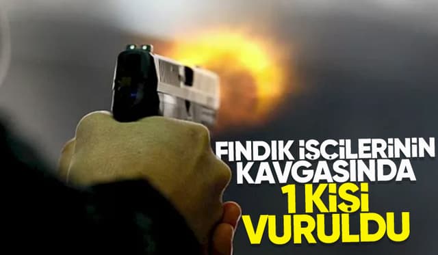 Fındık işçilerinin kavgasında 1 kişi vuruldu