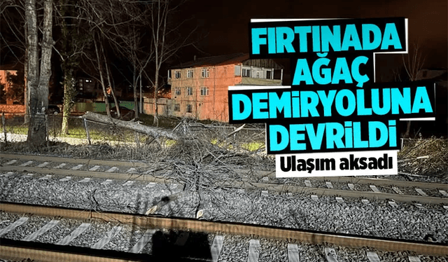 Demir yoluna ağaç devrildi, ulaşım aksadı