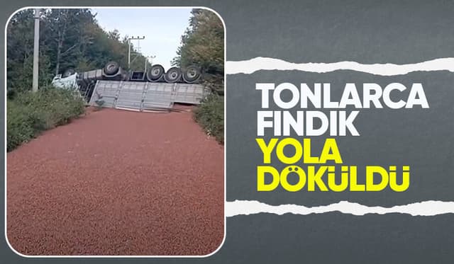 Kamyon takla attı; Tonlarca fındık yola saçıldı