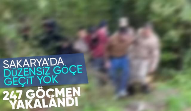 Sakarya'da göçmen kaçakçılığına büyük darbe: 247 kişi yakalandı