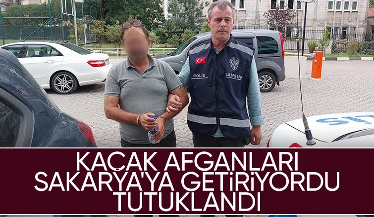 Kaçak Afganları Sakarya'ya getirirken yakalandı