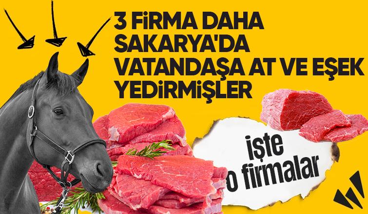 Sakarya'da 3 firmanın daha ürünlerinde at ve eşek eti çıktı