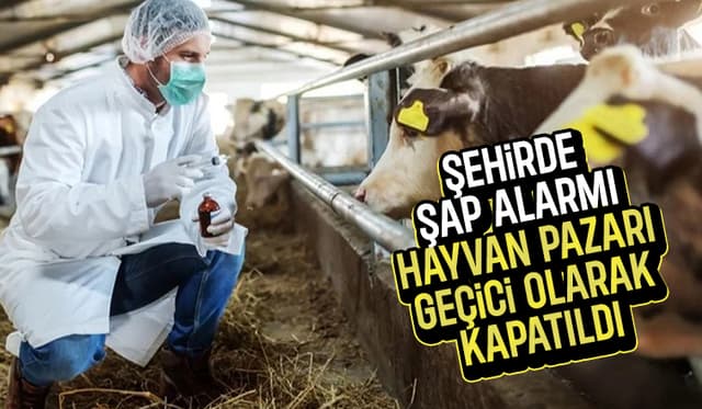 Sakarya'da şap alarmı