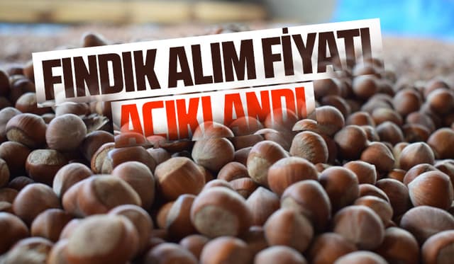 Fındık alım fiyatları belli oldu