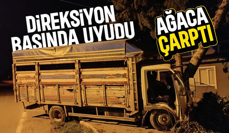 Ağaca Çarpan Kamyonetin Sürücüsü Araçta Sıkıştı