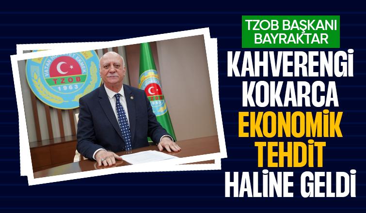 Kahverengi kokarca açıklaması: Felaket ile karşı karşıyayız