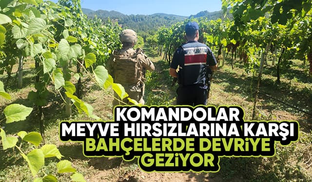 Meyve hırsızları için komandolar devrede