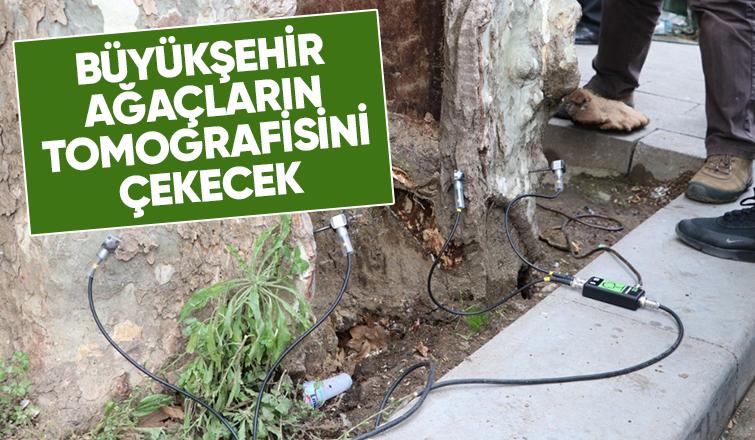 Büyükşehir ağaçlar için tomografi cihazını devreye alıyor