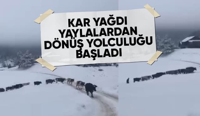 Akyazı'da yaylalardan dönüş başladı