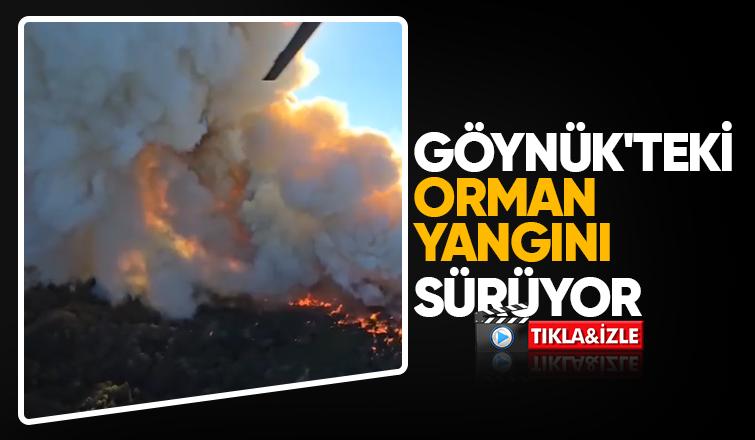 Göynük'teki orman yangınına 10 helikopter müdahale ediyor