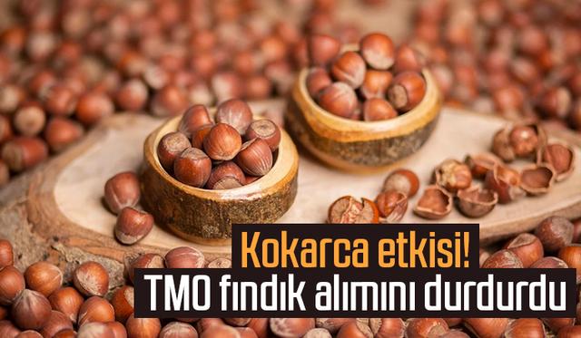 TMO fındık alımını durdurdu