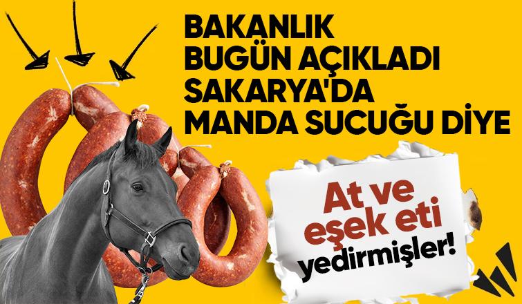 Sakarya'da manda sucuğundan at ve eşek eti çıktı