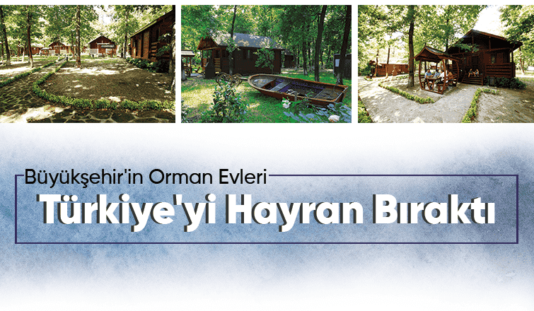 Büyükşehir'in orman evleri mükemmel listesinde