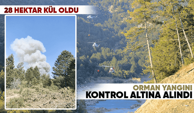 Orman yangını kontrol altına alındı