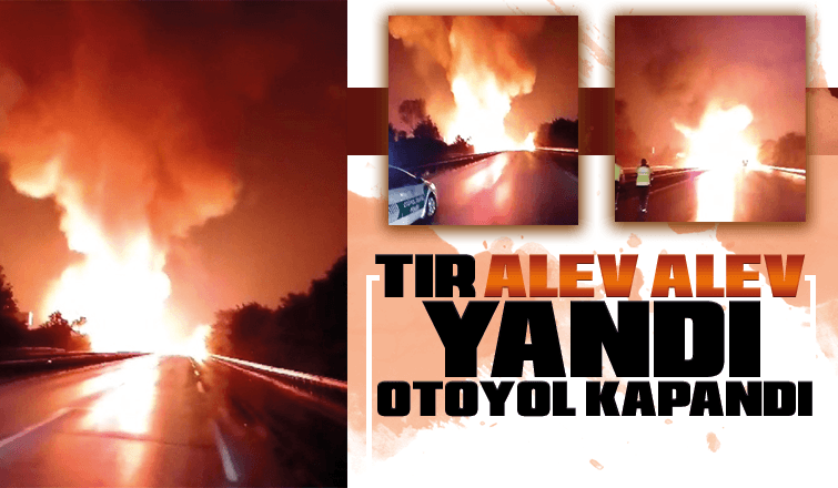 TEM'de tır alev alev yandı