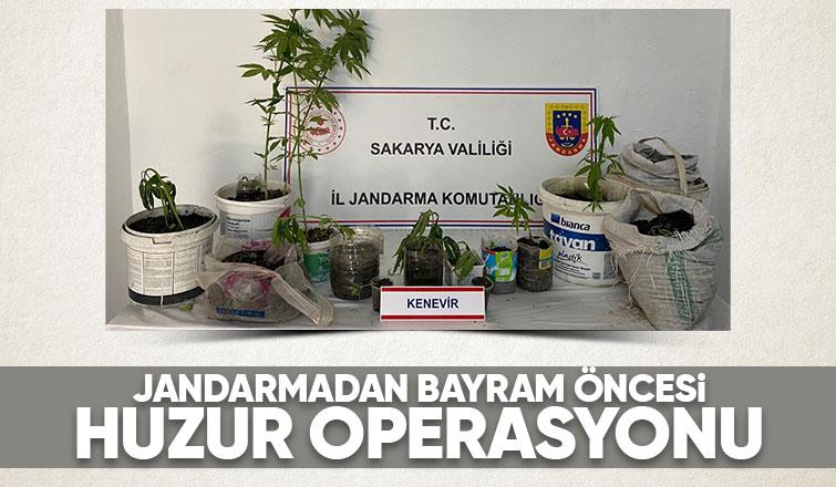 Sakarya jandarmadan operasyon